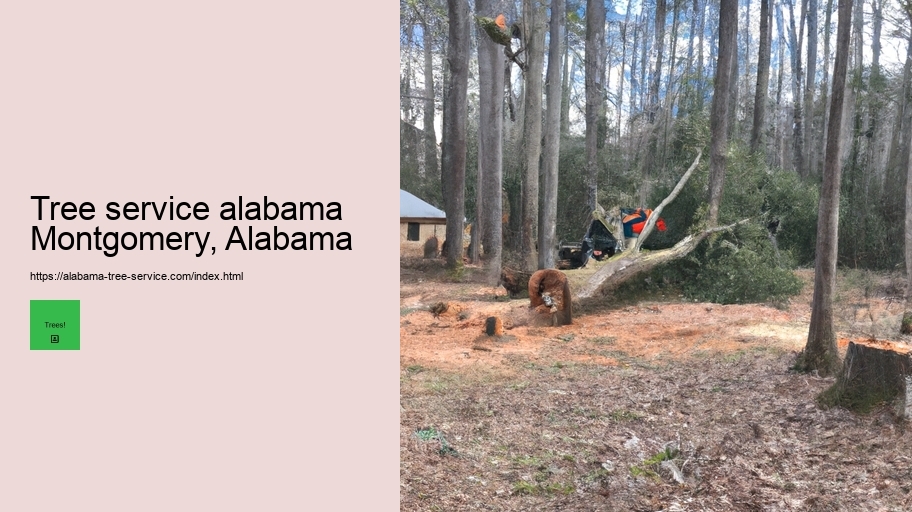 Tree service alabama Montgomery, Alabama