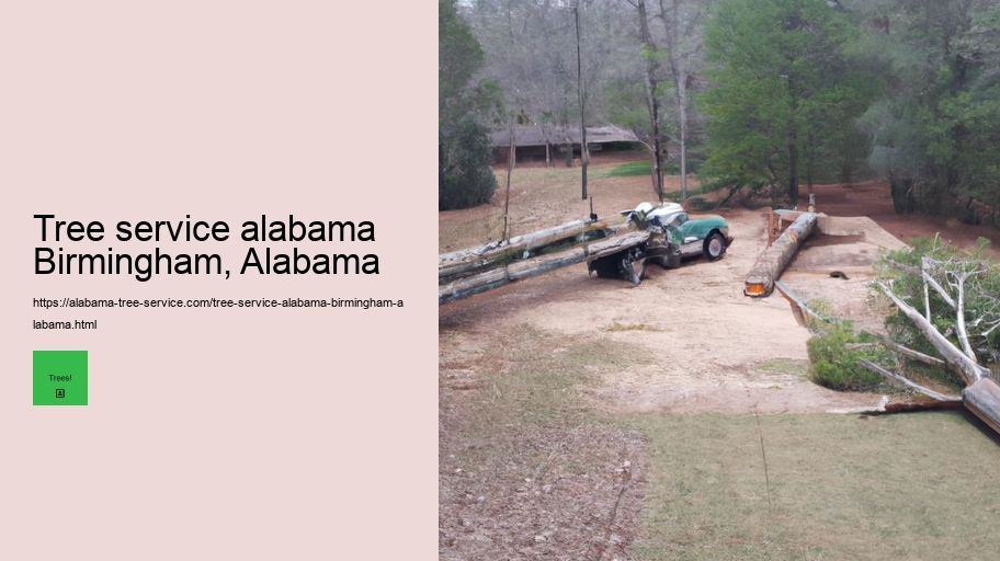 Tree service alabama Birmingham, Alabama