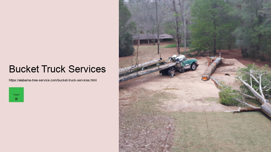 Bucket Truck Services