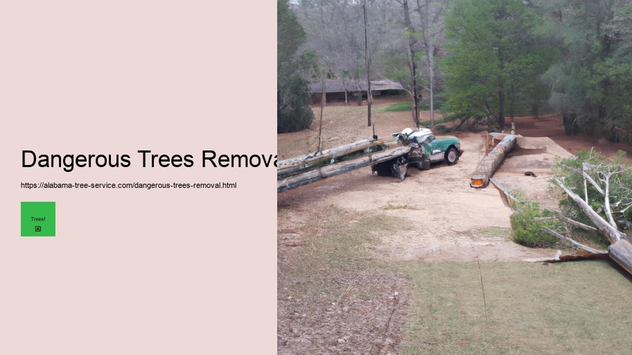 Dangerous Trees Removal