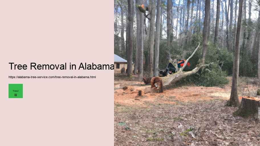 Tree Removal in Alabama